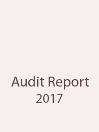 Audit Report 2017